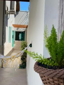 a plant in a basket on a balcony with a bench at Casa Rosa Pestana - min da Praia - PRADO BAHIA in Prado