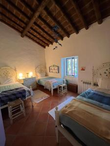 una habitación con dos camas y una ventana en Courela da Anta, en Vimieiro