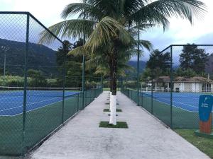 a palm tree on the side of a tennis court at Reserva do Sahy, Condado 2/305 in Mangaratiba