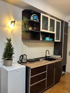 una cocina con fregadero y estufa horno superior en Cozy and Tiny Nest in Gudauri, en Gudauri