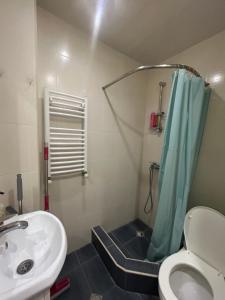 Un baño con ducha, inodoro y lavabo. en Cozy and Tiny Nest in Gudauri, en Gudauri