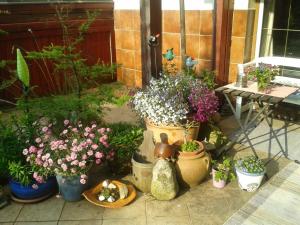 Ogród w obiekcie Pension Andante