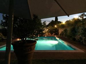 Piscine de l'établissement Villa Il Leccio ou située à proximité