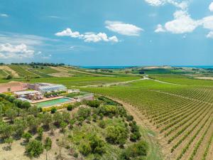 an aerial view of a vineyard and a house in the middle of a field at La Foresteria Planeta Wine Resort & Beach Club in Menfi