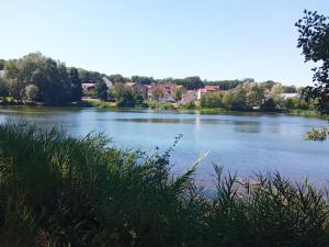 a view of a river with houses in the background at Le cocon d'Aurélie in Vélizy-Villacoublay