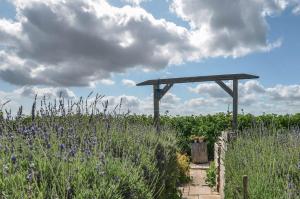 Сад в Pause Studio Room Yzerfontein