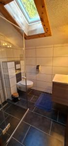y baño con ducha de cristal y aseo. en Camping Gasthof Zirknitzer, en Großkirchheim 14 fotos más