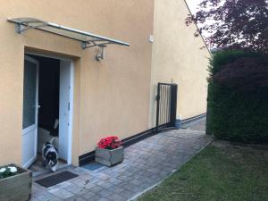 a dog is sitting outside of a house at MiniLevico in Levico Terme