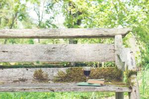 Jardin de l'établissement L'APPART enTHÈSE - Appartement pour une ou deux pers - Accessible à Tous - Meuble Tourisme 3 étoiles en BOURGOGNE