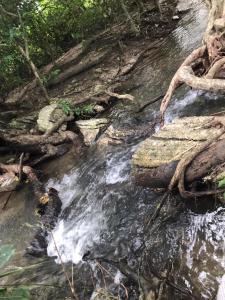 Paesaggio naturale nelle vicinanze dell'affittacamere
