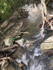 Paesaggio naturale nelle vicinanze dell'affittacamere
