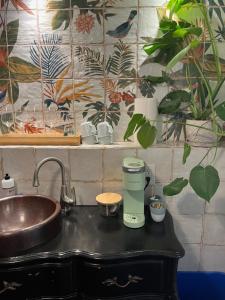 a kitchen counter with a sink and a mixer at Dougan Suites in Portland