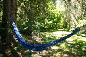 a blue hammock sitting in a yard next to a tree at Alquilo Monoambiente por día in Cuesta Blanca