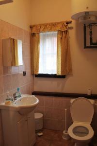 a bathroom with a sink and a toilet and a window at Apartmány Černá Říčka in Desná
