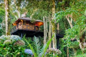 Κήπος έξω από το Casa na Árvore Monte Verde