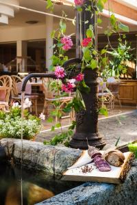 Zahrada ubytování Hotel La Romantica