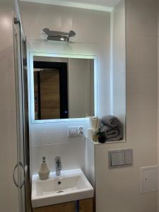 a bathroom with a sink and a mirror at Luxury Apartments Kamienna Góra in Kamienna Góra +14 photos