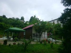 提斯基斯迪里BANI tsikhisdziri的相册照片