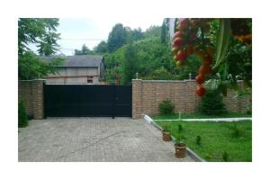 提斯基斯迪里BANI tsikhisdziri的相册照片