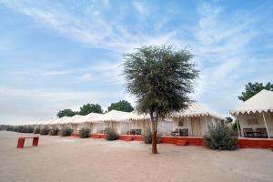 斋沙默尔Royal Adventure Jaisalmer Resort的相册照片