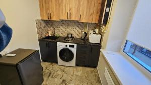 Η κουζίνα ή μικρή κουζίνα στο living room +7 φωτογραφίες
