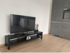 Μια τηλεόραση ή/και κέντρο ψυχαγωγίας στο Cozy 1 bedroom flat with private terrace
