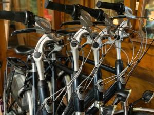 Gambar di galeri bagi De Lyster di Workum