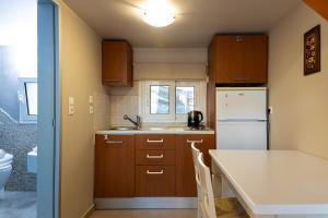 a kitchen with wooden cabinets and a white refrigerator at Haraki Village in Haraki