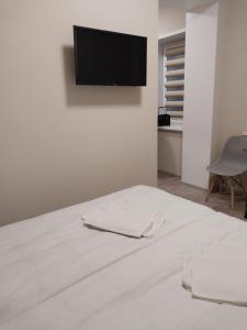 TV a/nebo společenská místnost v ubytování Hotel Avatar