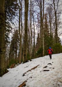 Przysiółek Flądrówka - Dom na odludziu z widokiem na Gorce i Tatry v zime