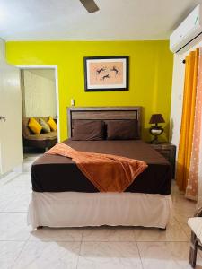 Postel nebo postele na pokoji v ubytování Hibiscus View Apartment Rental + 8 fotografií