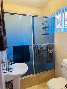 Koupelna v ubytování Hibiscus View Apartment Rental