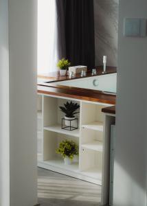 Kuchyň nebo kuchyňský kout v ubytování Papireto Rooms