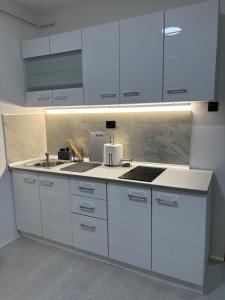 Η κουζίνα ή μικρή κουζίνα στο Fenix Apartman III
