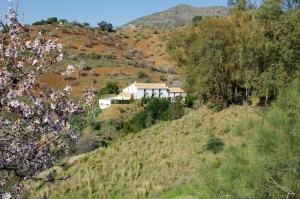 a house on the side of a hill with trees at Rural Montes Málaga: Cortijo La Palma in Málaga