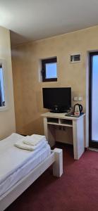 TV a/nebo společenská místnost v ubytování Guest House ANEX