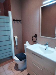 a bathroom with a toilet and a sink and a mirror at Chambre Auberge du donjon in Bournazel +19 photos