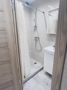 a bathroom with a shower and a sink at studio apartment in Vilnius +3 photos