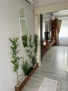 a hallway with a mirror and plants on the wall at Dracevo Apartments with Free Parking in Dračevo