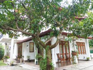 a white house with a tree in front of it at Villa Muthuwin in Panadura