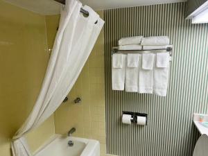 a bathroom with a tub and a shower with towels at Barclay Hotel Atlanta Downtown in Atlanta