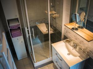 a bathroom with a sink and a shower at Le Nid De La Loire in Blois +33 photos