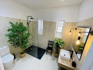 een badkamer met een douche, een toilet en planten bij Historic Douro Valley Quinta in Lamego +64 foto's
