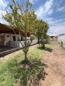Κήπος έξω από το casa con piscina