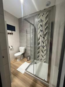 a bathroom with a shower and a toilet at Jolie maison Juillan "Une escapade au pied des Pyrénées" in Juillan +39 photos