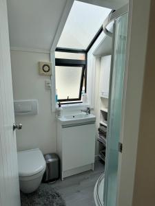 Un baño con inodoro, lavabo y ventana. en Downtown Mt Beach Apartment, en Mount Maunganui