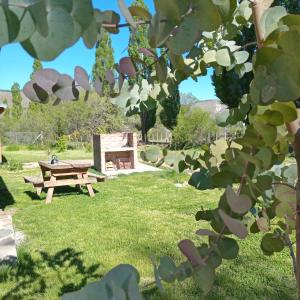 a picnic table in a park with green grass at Alojamiento Küme Kiyen in Aluminé