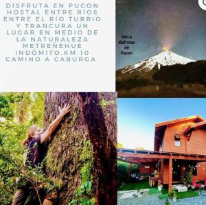 a collage of photos of a woman hugging a tree at Hostal Entre Ríos in Pucón