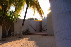 Φωτογραφία από το άλμπουμ του Casa Payito σε Chelem