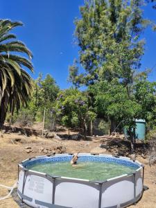Kép Oasis in the mountain, Quebrada Alvarado, Olmué szállásáról Olmuéban a galériában